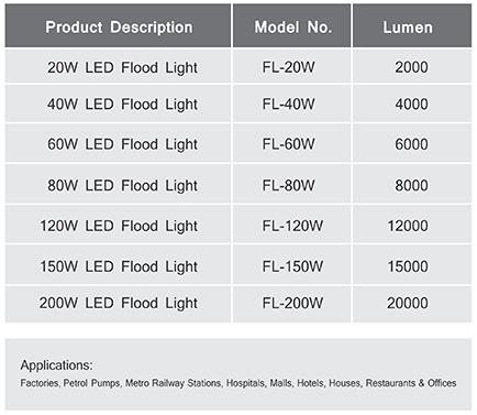 LED Flood Light