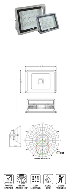 LED Flood Light