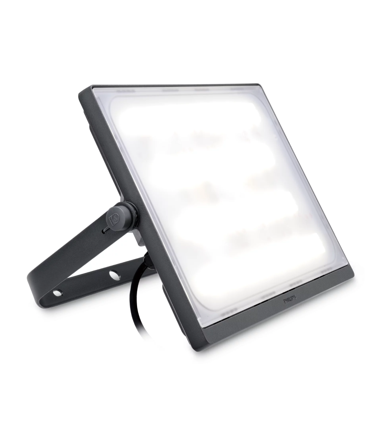 LED Flood Light